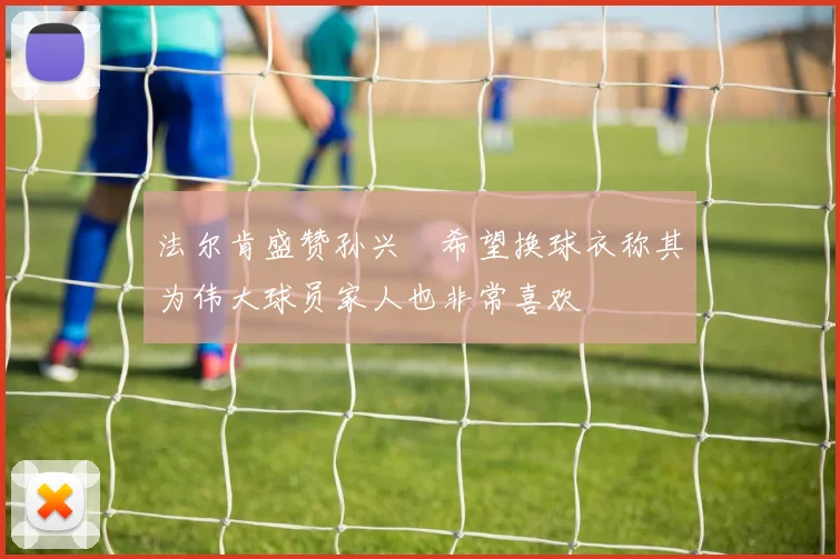 法尔肯盛赞孙兴慜希望换球衣称其为伟大球员家人也非常喜欢